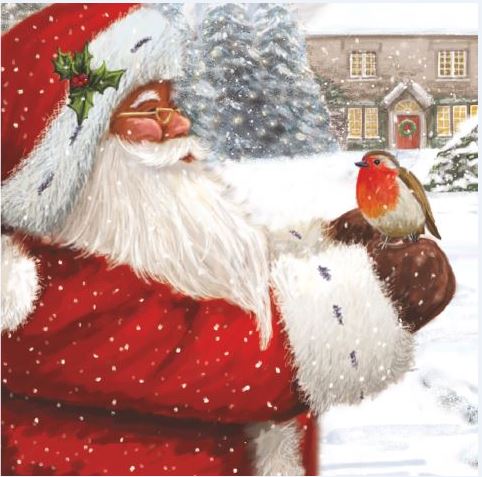 Santa With Friendly Robin Christmas Cards - Pack of 10